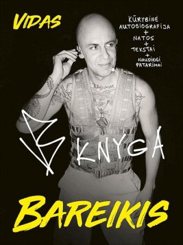 VB knyga. Kūrybinė biografija, natos, tekstai ir naudingi patarimai