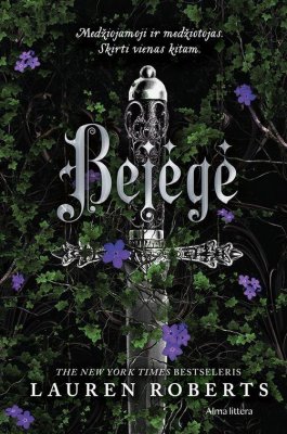 Bejėgė