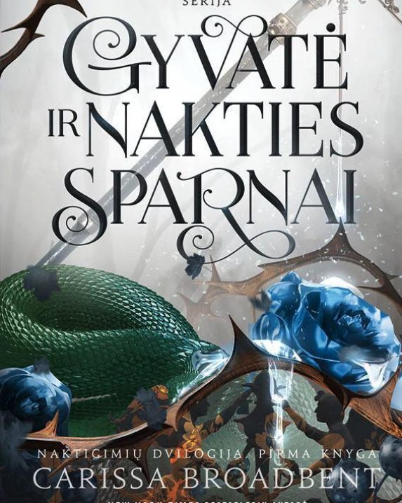 Gyvatė ir nakties sparnai